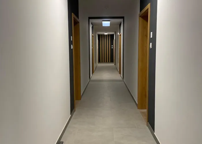 Apartment 41