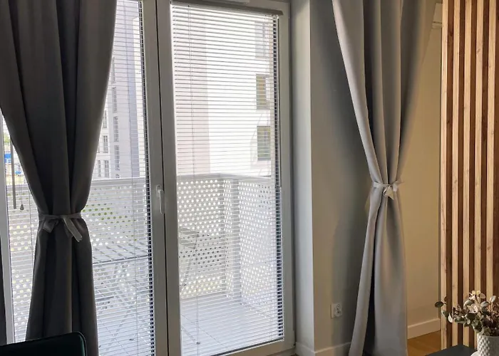 Apartment 41